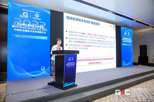 2022首屆碳中和技術(shù)方案征集暨UNIDO Global Call中國技術(shù)儲備專家咨詢報告會在烏鎮(zhèn)舉行