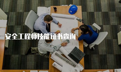 安全工程師技能證書查詢與技術(shù)咨詢指南